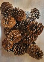 Grote denne appels, Diversen, Ophalen of Verzenden, Zo goed als nieuw