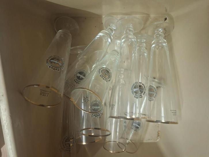 Warsteiner Bierglazen - 12 Stuks, Huis en Inrichting, Keuken | Servies, Gebruikt, Glas of Glazen, Effen, Glas, Ophalen of Verzenden