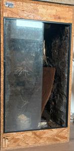 Houten Terrarium 50x50x100, Dieren en Toebehoren, Ophalen, Nieuw, Terrarium of Paludarium