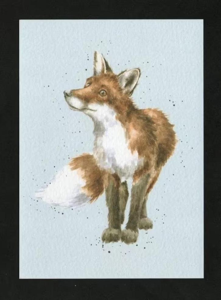 Vos Vulpes Vulpes door Hannah Dale., Verzamelen, Ansichtkaarten | Dieren, Ongelopen, 1980 tot heden, Wild dier, Ophalen of Verzenden