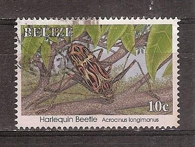Belize, Insecten (10c), 1995., Verzenden, Gestempeld, Midden-Amerika