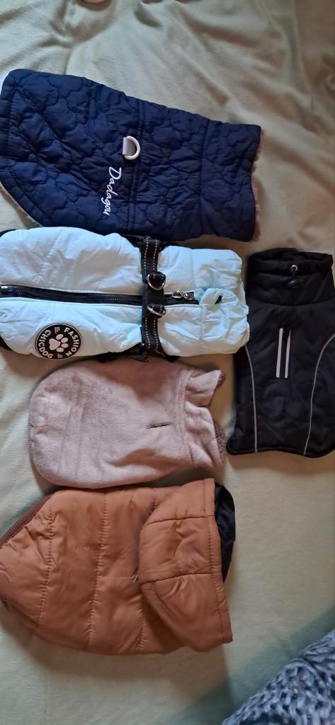 Nieuwe puppy jasjes, Dieren en Toebehoren, Hondenkleding