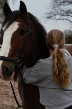 Verzorgpony GEZOCHT/ Bijrijder, verzorger aangeboden, Dieren en Toebehoren, Nieuw, Ophalen of Verzenden