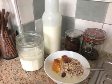 Melkkefirkorrels (biologisch) beschikbaar voor biedingen