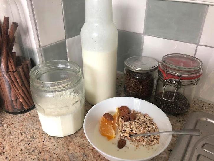 Melkkefirkorrels (biologisch), Diversen, Levensmiddelen, Ophalen of Verzenden