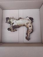 Kienhout, Ophalen of Verzenden, Zo goed als nieuw, Plant(en), Steen of Hout