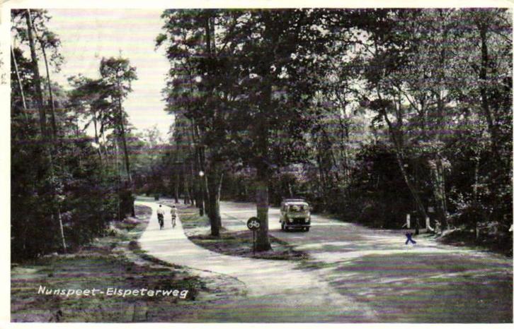 Nunspeet, Elspeterweg - fiets auto - 1962 gelopen, Verzamelen, Ansichtkaarten | Nederland, Ongelopen, Gelderland, Voor 1920, Ophalen of Verzenden