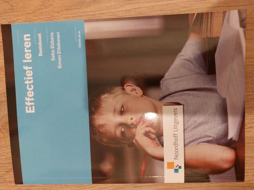 Sebo Ebbens - Basisboek, Boeken, Schoolboeken, Zo goed als nieuw, Nederlands, Overige niveaus, Ophalen of Verzenden