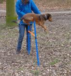 Agility hindernis, Ophalen, Gebruikt