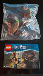 Lego Harry Potter 75950 Aragog's Hol - Compleet, Ophalen of Verzenden, Gebruikt, Complete set, Lego