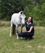 Bijrijder/ leaser gezocht, Dieren en Toebehoren, Paarden en Pony's | Overige Paardenspullen, Ophalen of Verzenden, Nieuw