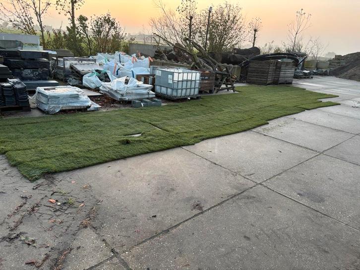 36 m2 Verse graszoden direct leverbaar!, Tuin en Terras, Gras en Kunstgras, Nieuw, Gras, 20 m² of meer, Ophalen of Verzenden