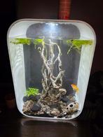 BiOrb Life 60 MCR Wit + 2 goudvissen en extra's., Dieren en Toebehoren, Ophalen, Leeg aquarium