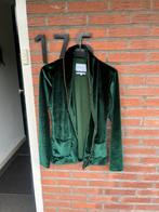 Fabienne chapot groen suède vest maat xs als nieuw, Kleding | Dames, Jassen | Zomer, Ophalen of Verzenden, Zo goed als nieuw, Maat 34 (XS) of kleiner
