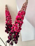 Riviera maison zijde kunstbloemen SILK-KA twv  € 30 per stuk, Huis en Inrichting, Ophalen of Verzenden, Zo goed als nieuw