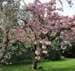Tuinonderhoud, Ophalen of Verzenden, Nieuw