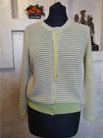 Paule Ka Cardigan - Nieuw! Maat S, Ophalen of Verzenden, Nieuw, Maat 36 (S)