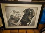 tekening 2 Mastino's, Antiek en Kunst, Kunst | Tekeningen en Foto's, Ophalen