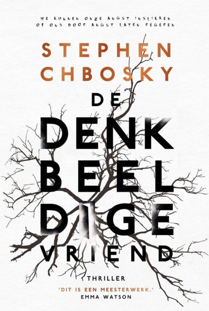 Stephen Chbosky- De Denkbeeldige Vriend, Boeken, Thrillers, Zo goed als nieuw, Verzenden