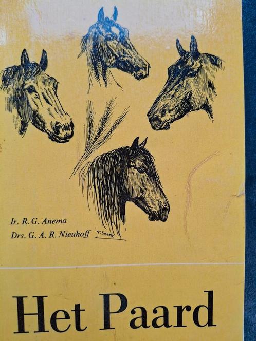 Het Paard fokkerij Belgisch trekpaard ponyrassen warmbloed, Boeken, Dieren en Huisdieren, Gelezen, Paarden of Pony's, Ophalen of Verzenden