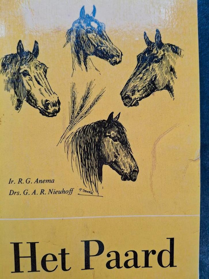 Het Paard fokkerij Belgisch trekpaard ponyrassen warmbloed, Boeken, Dieren en Huisdieren, Gelezen, Paarden of Pony's, Ophalen of Verzenden