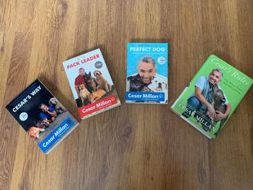 Boekenpakket: Cesar Millan - 4 Boeken Hondengedrag/training beschikbaar voor biedingen