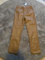Nieuw. Broek beige maat s, Kleding | Dames, Beige, Nieuw, Ophalen of Verzenden, Maat 36 (S)