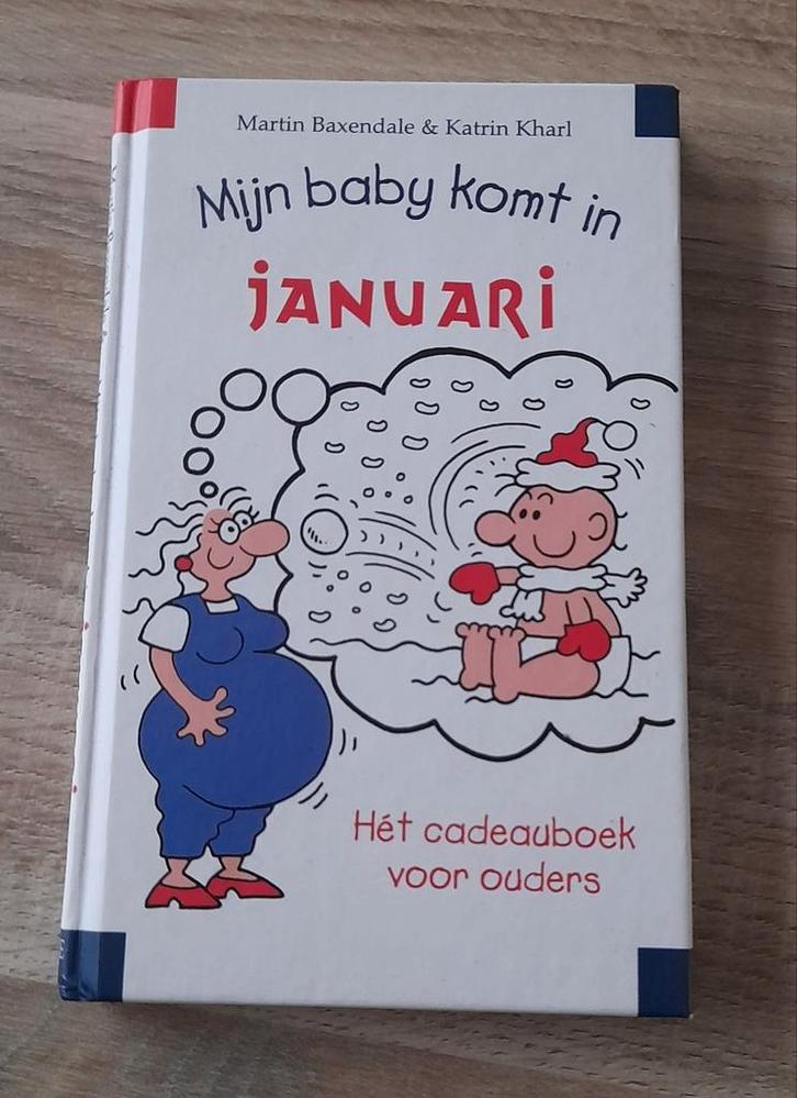 Mijn Baby Komt in Januari - Zwangerschapsboek, Boeken, Zwangerschap en Opvoeding, Zo goed als nieuw, Zwangerschap en Bevalling