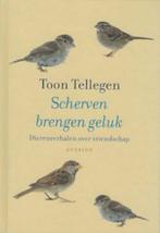 Toon Tellegen: Scherven brengen geluk, Ophalen of Verzenden, Zo goed als nieuw