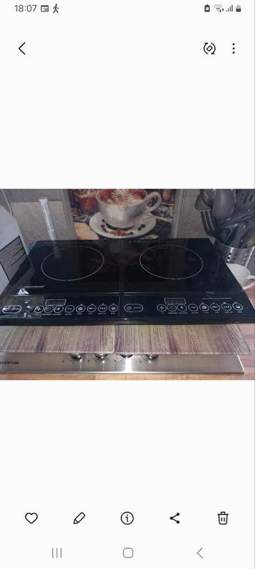 Inductie kookplaat - 2 zones - Chalet gebruikt beschikbaar voor biedingen