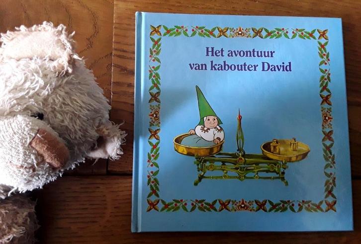 Het avontuur van kabouter david (david de kabouter), Boeken, Sprookjes en Fabels, Zo goed als nieuw, Ophalen of Verzenden