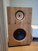 Open baffle lii audio sb audience, Audio, Tv en Foto, Luidsprekers, Ophalen, 120 watt of meer, Front, Rear of Stereo speakers