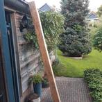 Eiken balk 12x12 cm  218 cm lang, Doe-het-zelf en Verbouw, Hout en Planken, Ophalen, Gebruikt, Eiken, 200 tot 250 cm