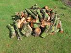 openhaard hout, Tuin en Terras, Haardhout, Minder dan 3 m³, Ophalen, Takken