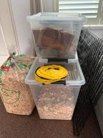 Caviahok / caviakooi Hout, Ophalen, Kooi, 60 tot 90 cm, Zo goed als nieuw