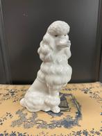 Poedel beeld, Ophalen of Verzenden, Zo goed als nieuw, Mens