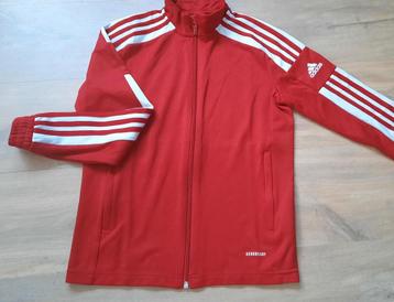 Adidas Squadra 21 trainingsjack trainingsvest  maat 152 beschikbaar voor biedingen