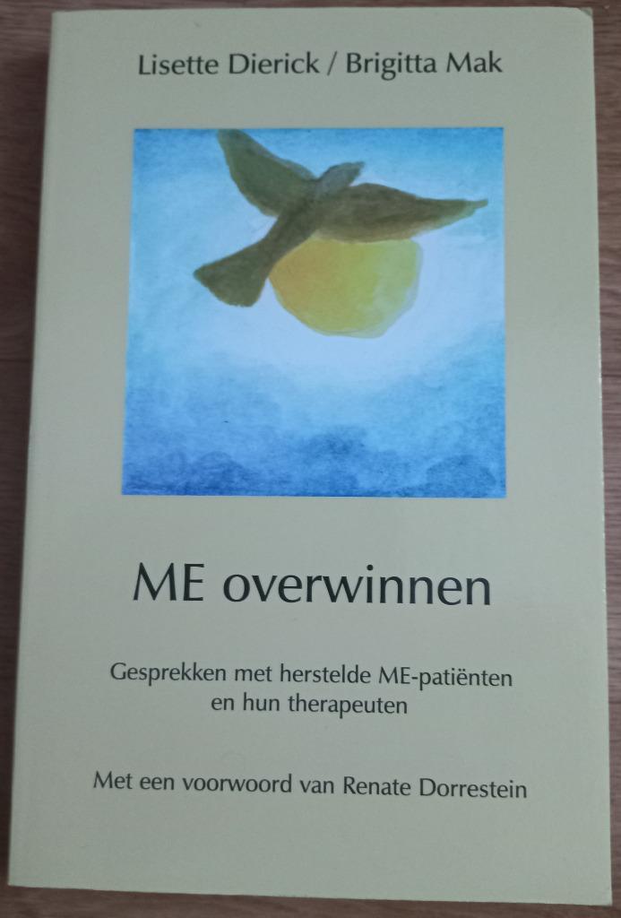 ME overwinnen - Lisette Dierick, Boeken, Gezondheid, Dieet en Voeding, Gelezen, Gezondheid en Conditie, Ophalen of Verzenden