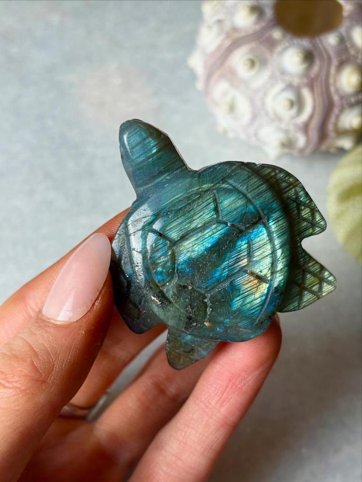 Labradoriet schildpad, Verzamelen, Mineralen en Fossielen, Ophalen of Verzenden