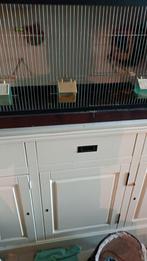 broedkooi, Dieren en Toebehoren, Ophalen, Zo goed als nieuw, Metaal, Broedkooi of Kweekkooi