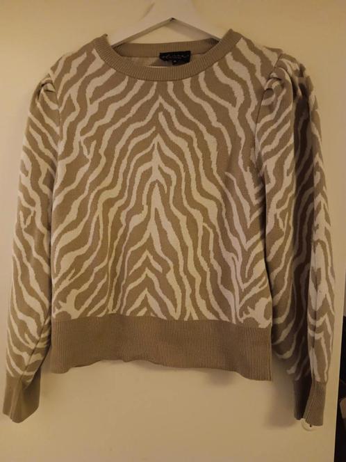 Elvira trui maat XL, Kleding | Dames, Truien en Vesten, Zo goed als nieuw, Maat 46/48 (XL) of groter, Ophalen of Verzenden