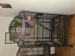 Papagaaien kooi, Ophalen, Gebruikt, Metaal, Vogelkooi