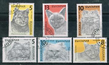 Postzegels uit Bulgarije - K 1553 - katten beschikbaar voor biedingen