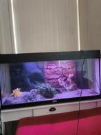 Aquarium 1 meter breed JUWEL, Dieren en Toebehoren, Vissen | Aquaria en Toebehoren, Ophalen, Zo goed als nieuw, Leeg aquarium