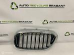 Grill Nier Links BMW 5 Serie G30 G31 M-PAKKET 51137390863, Auto-onderdelen, Gebruikt, Ophalen of Verzenden, BMW, BMW