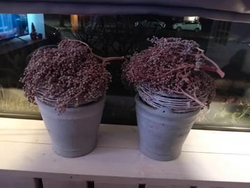 Decoratieve stenen potten met krans en dadeltakken beschikbaar voor biedingen