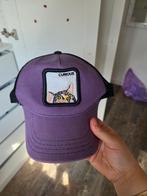 Paarse. Pet - Nieuwsgierige Kat, Goorin Bros., One size fits all, Ophalen of Verzenden, Pet