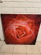 Schilderij canvas poster rode roos, Ophalen