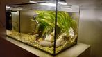 Aquarium, Dieren en Toebehoren, Vissen | Aquaria en Toebehoren, Ophalen, Nieuw, Gevuld zoetwateraquarium