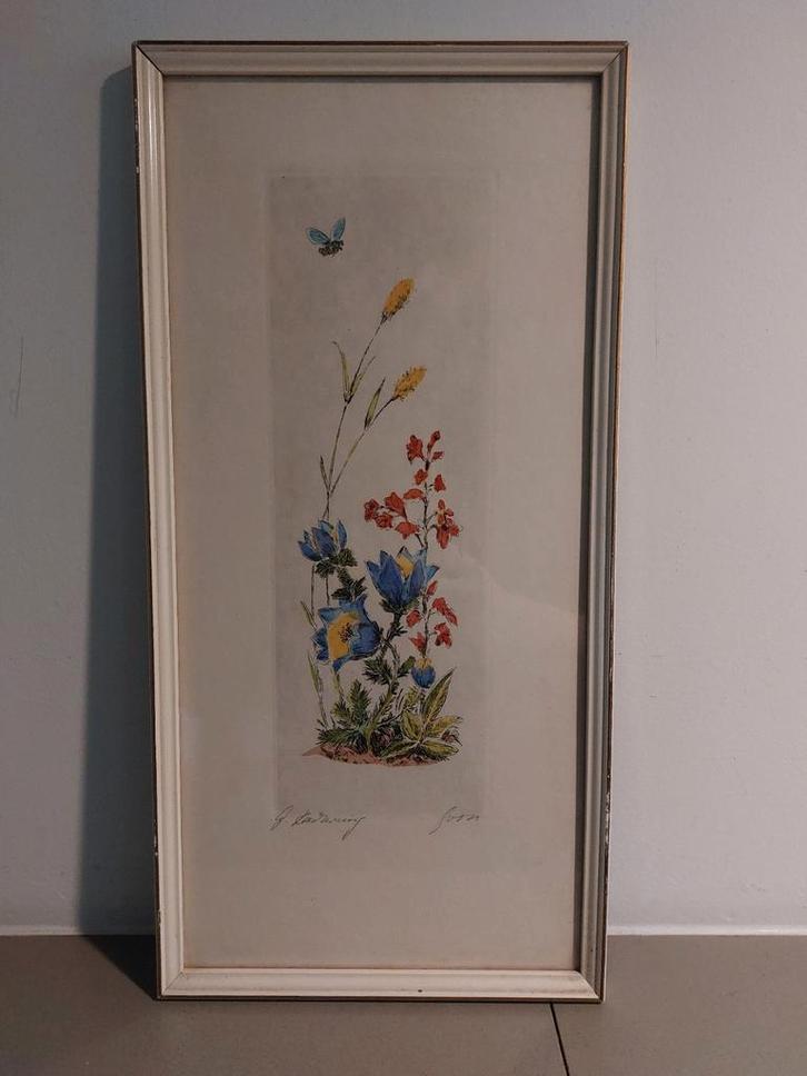 Originele kleurenets – Gerrit Kamerling – gesigneerd, Antiek en Kunst, Kunst | Etsen en Gravures, Ophalen of Verzenden